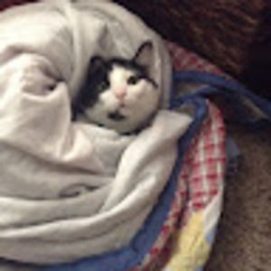 Meet your Posher, Kellie